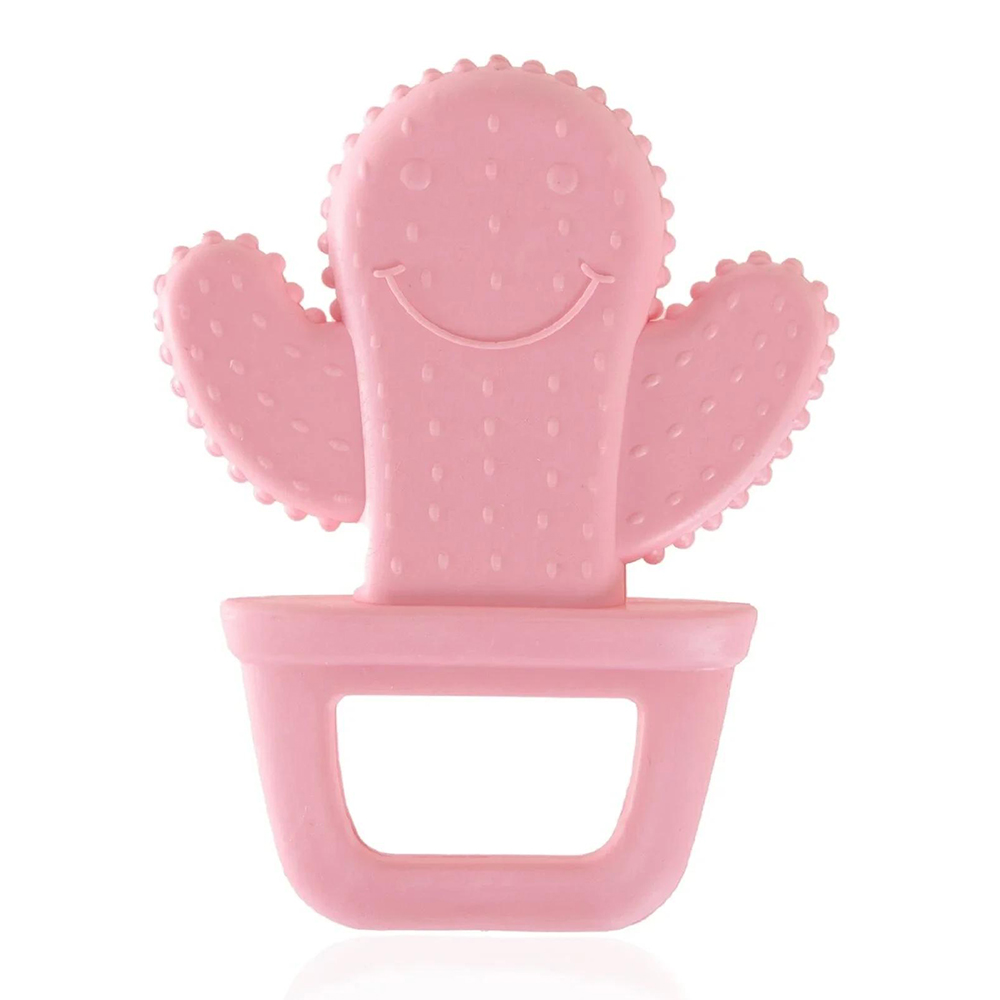 Pembe Kaktüs