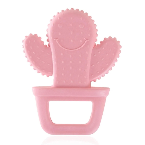 Pembe Kaktüs