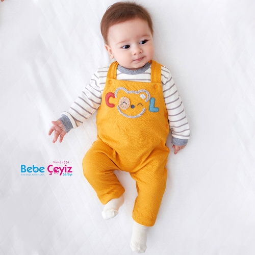 Sarı