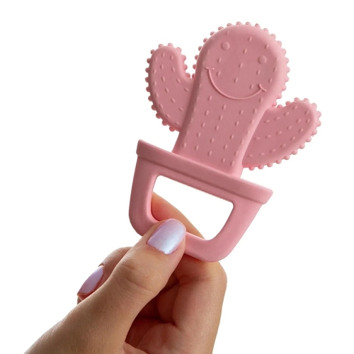 Pembe Kaktüs